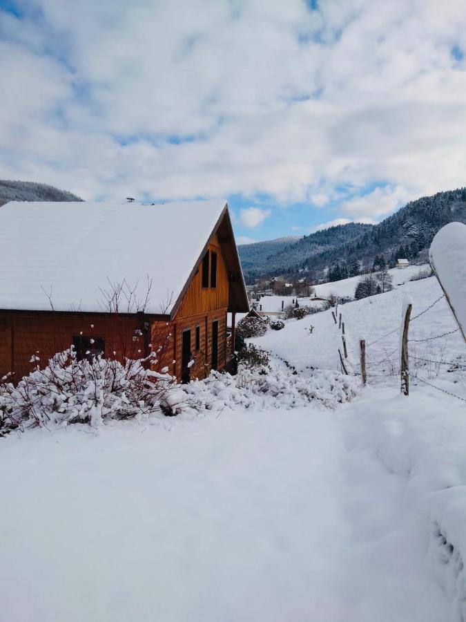 Casa De Monzel With 6-person Jacuzzi & Panoramic View La Bresse